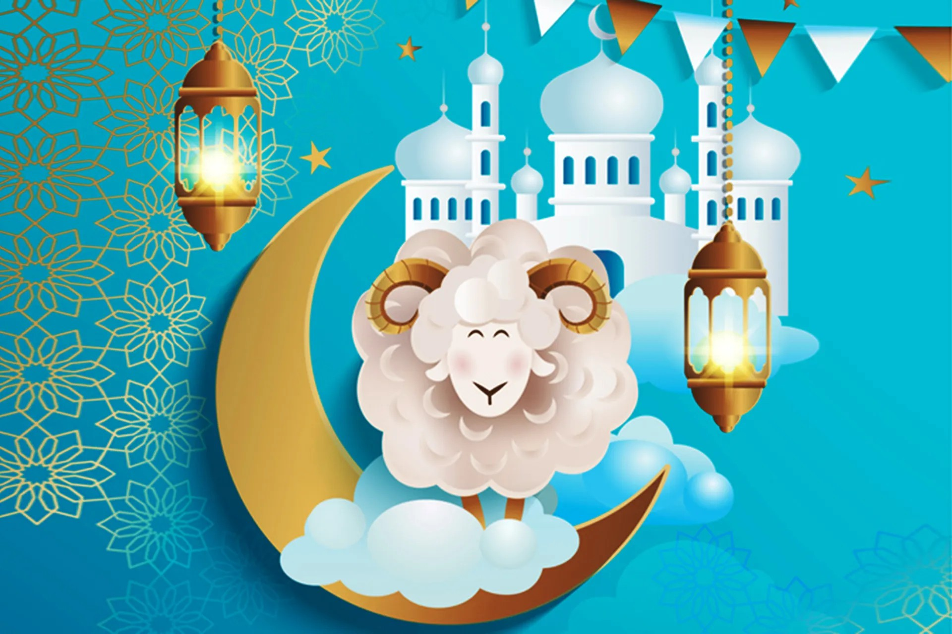 أسعار الأضاحي تخرج عن المألوف مع دخول عيد الأضحى المبارك